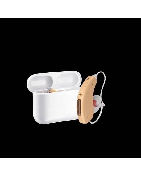 Hearing Aid HA16