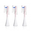 BESTEK Sonic Electric Toothbrushes Specialized Replacement Heads, 3 Pcs, Pink